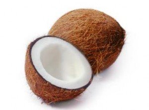 121433-356x337-Coconut1022