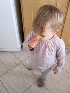 brémai, Bálint,Bora mivel szórakozik 046