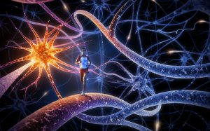 running-inside-a-brain