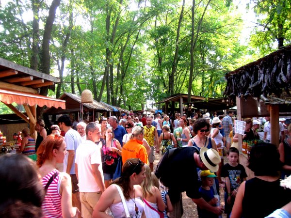 Káptalantóti, kővirág 014