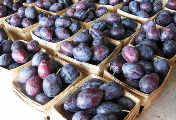 plums